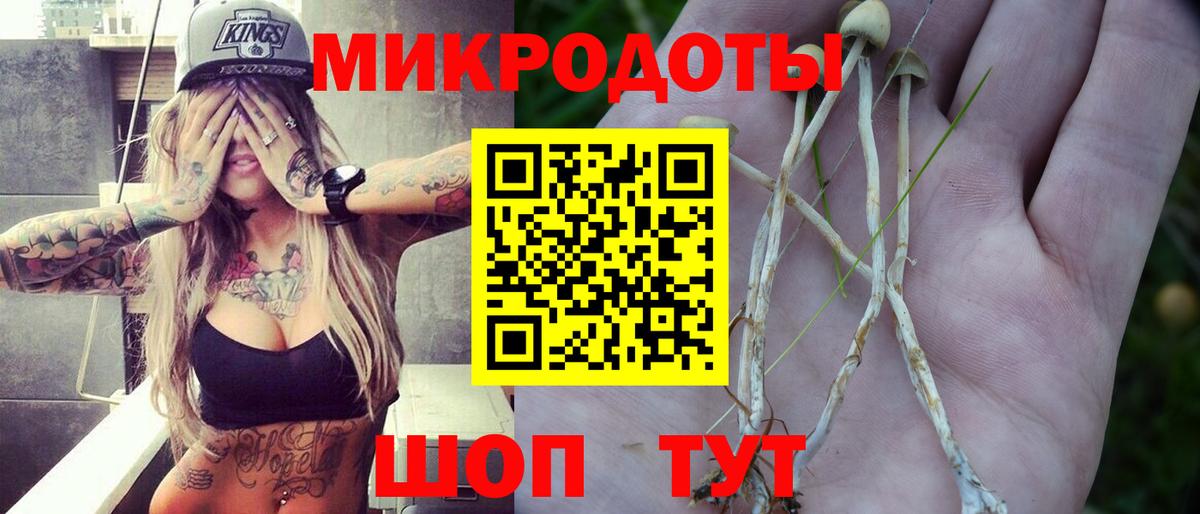 где купить   Галлюциногенные грибы GOLDEN TEACHER  Вход с VPN  Учалы 